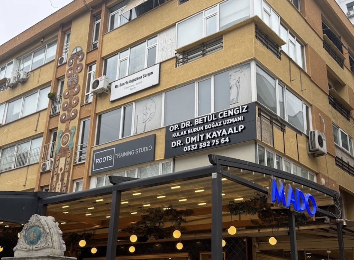 Giriş